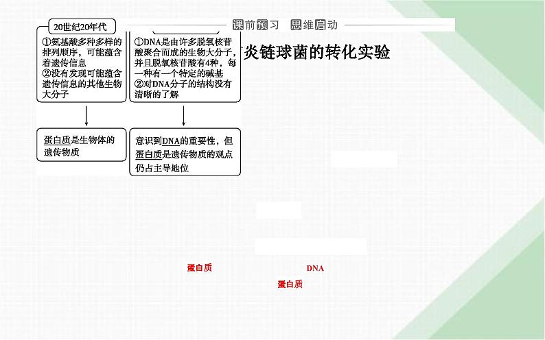 人教版高中生物必修2第3章基因的本质第1节DNA是主要的遗传物质课件第3页