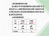 人教版高中生物必修2第3章基因的本质第1节DNA是主要的遗传物质课件