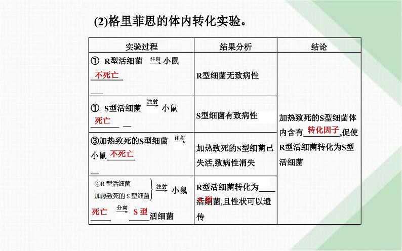 人教版高中生物必修2第3章基因的本质第1节DNA是主要的遗传物质课件第5页