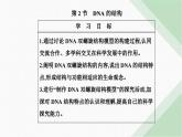 人教版高中生物必修2第3章基因的本质第2节DNA的结构课件