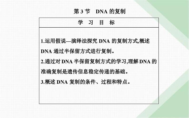 人教版高中生物必修2第3章基因的本质第3节DNA的复制课件第2页