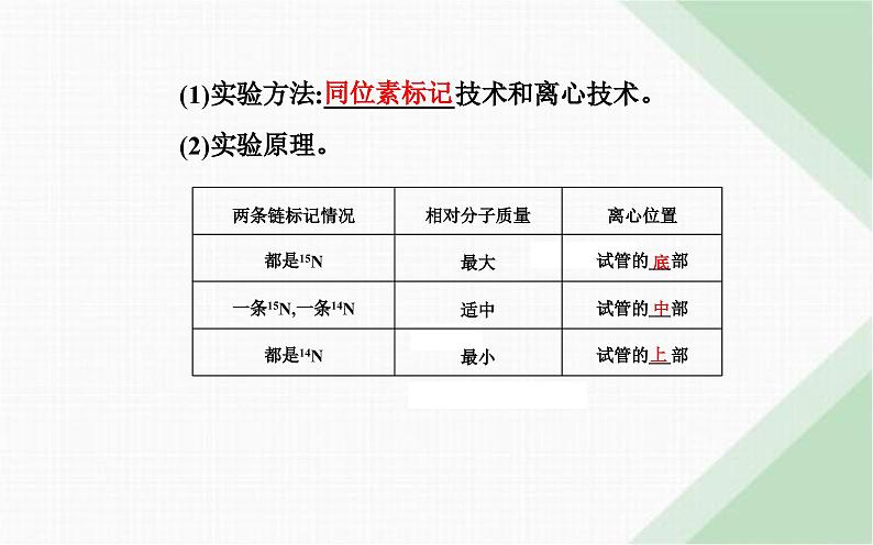 人教版高中生物必修2第3章基因的本质第3节DNA的复制课件第5页