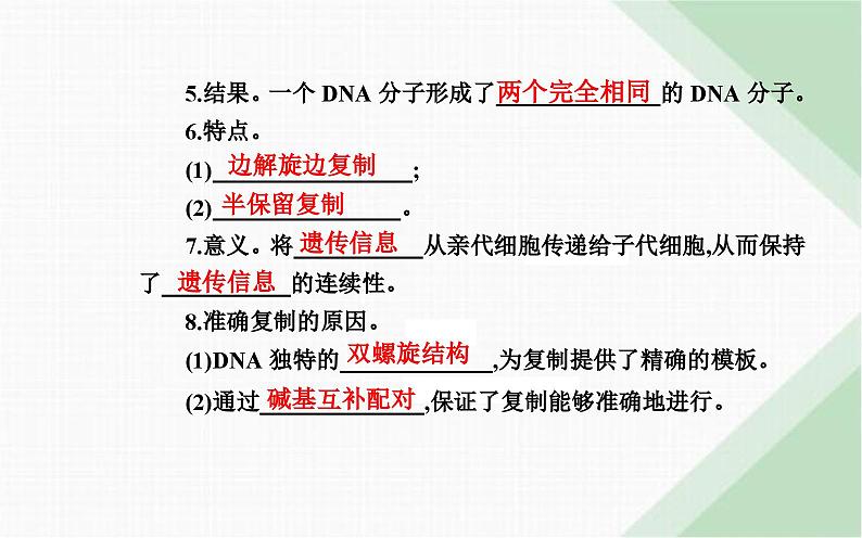 人教版高中生物必修2第3章基因的本质第3节DNA的复制课件第8页