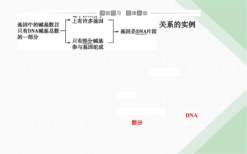 人教版高中生物必修2第3章基因的本质第4节基因通常是有遗传效应的DNA片段课件第3页