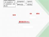 人教版高中生物必修2第3章基因的本质第4节基因通常是有遗传效应的DNA片段课件