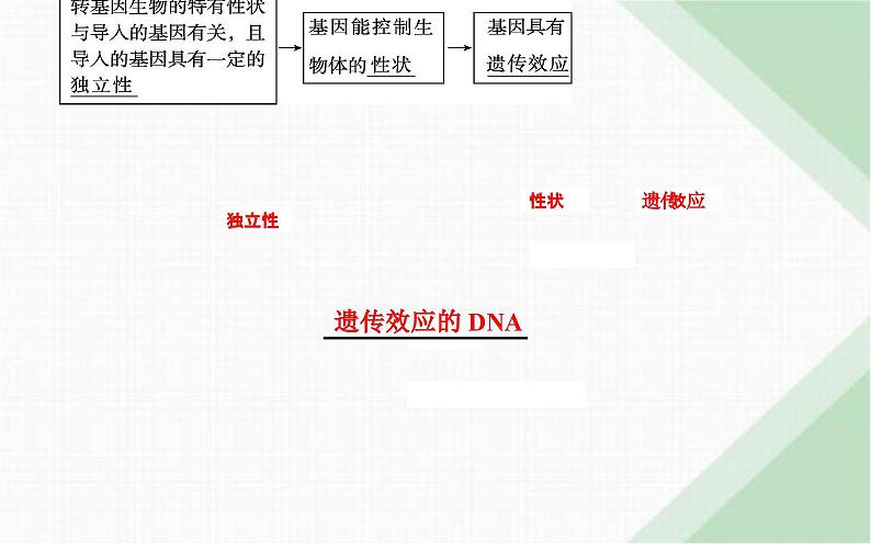 人教版高中生物必修2第3章基因的本质第4节基因通常是有遗传效应的DNA片段课件第4页