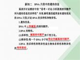 人教版高中生物必修2第3章基因的本质第4节基因通常是有遗传效应的DNA片段课件
