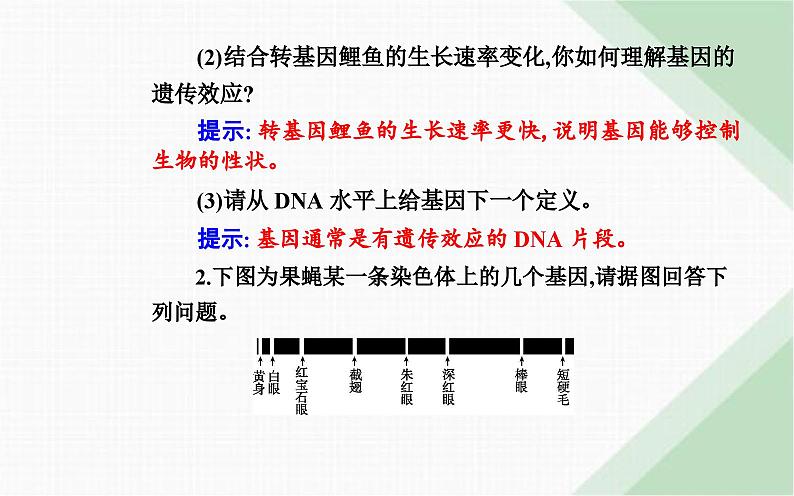 人教版高中生物必修2第3章基因的本质第4节基因通常是有遗传效应的DNA片段课件第7页