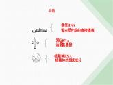 人教版高中生物必修2第4章基因的表达第1节基因指导蛋白质的合成课件