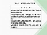 人教版高中生物必修2第4章基因的表达第2节基因表达与性状的关系课件