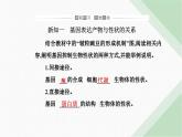 人教版高中生物必修2第4章基因的表达第2节基因表达与性状的关系课件