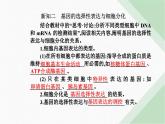 人教版高中生物必修2第4章基因的表达第2节基因表达与性状的关系课件