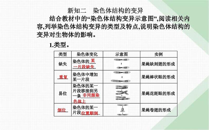 人教版高中生物必修2第5章基因突变及其他变异第2节染色体变异课件06