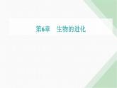 人教版高中生物必修2第6章生物的进化第3节种群基因组成的变化与物种的形成-副本课件