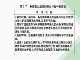 人教版高中生物必修2第6章生物的进化第3节种群基因组成的变化与物种的形成-副本课件