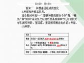 人教版高中生物必修2第6章生物的进化第3节种群基因组成的变化与物种的形成-副本课件