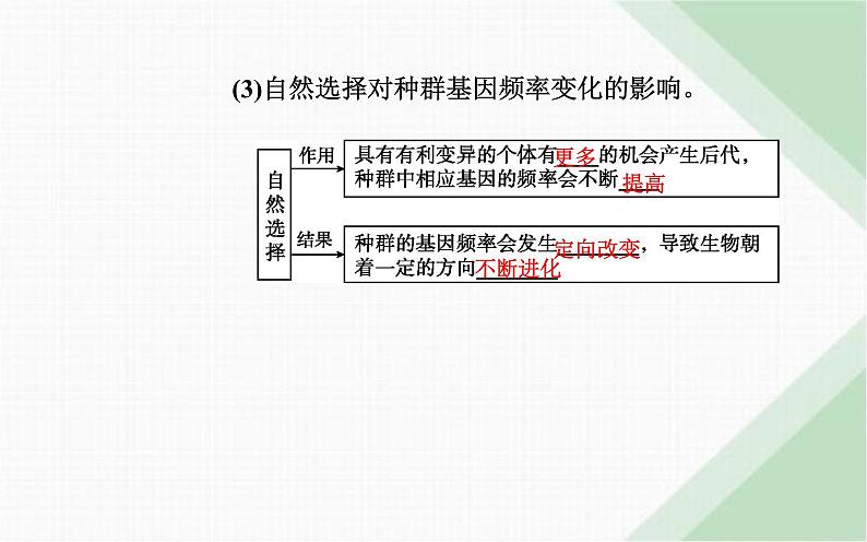 人教版高中生物必修2第6章生物的进化第3节种群基因组成的变化与物种的形成-副本课件第6页