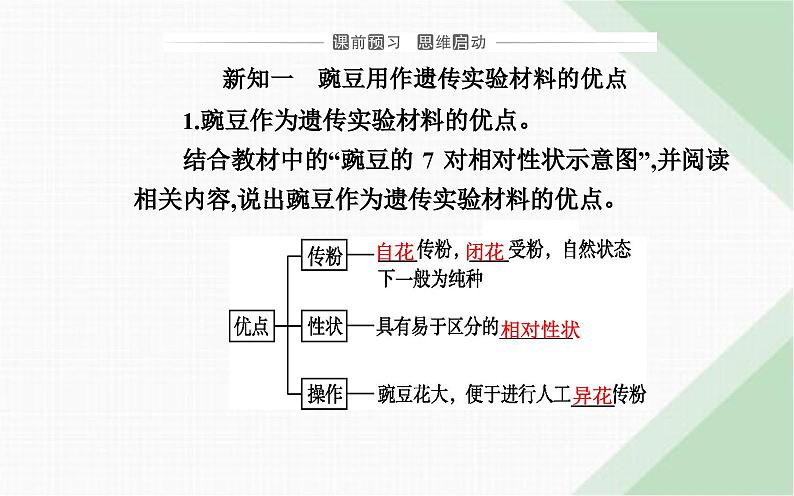 人教版高中生物必修2第1章遗传因子的发现第1节孟德尔的豌豆杂交实验（一）课件第3页