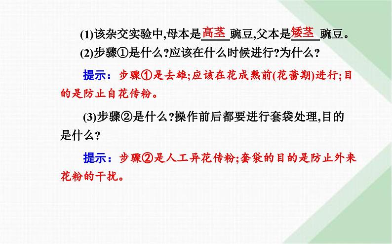 人教版高中生物必修2第1章遗传因子的发现第1节孟德尔的豌豆杂交实验（一）课件第5页