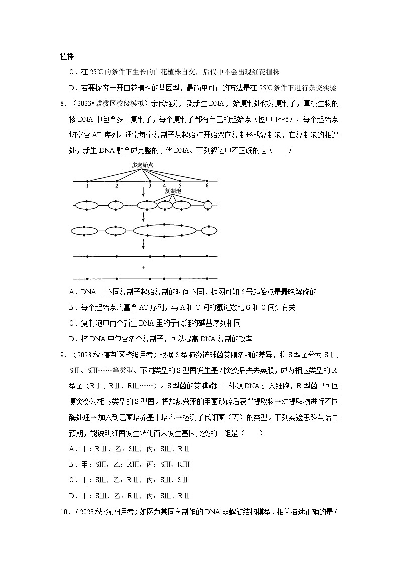 高考生物复习新题速递之基因的本质和表达第3页
