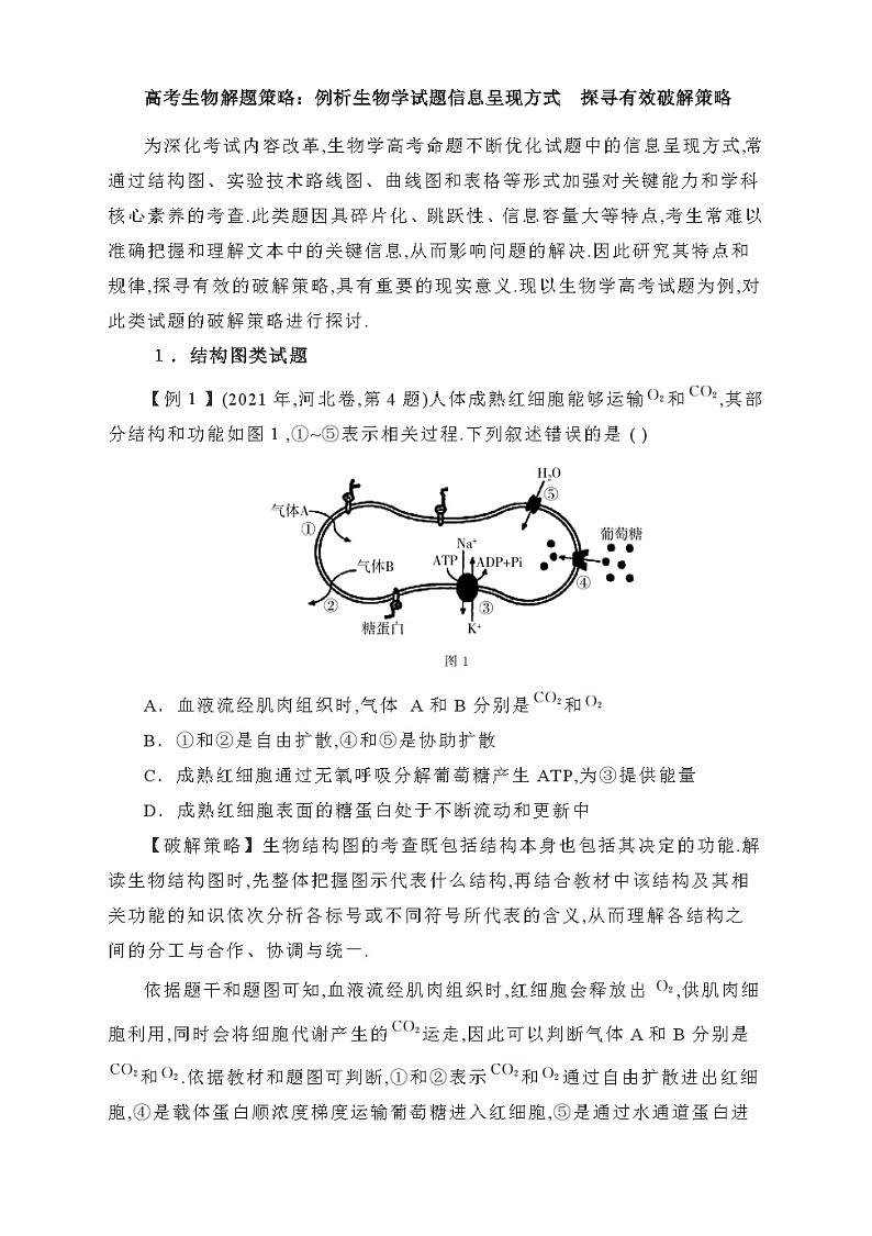 高考生物解题策略：例析生物学试题信息呈现方式　探寻有效破解策略第1页