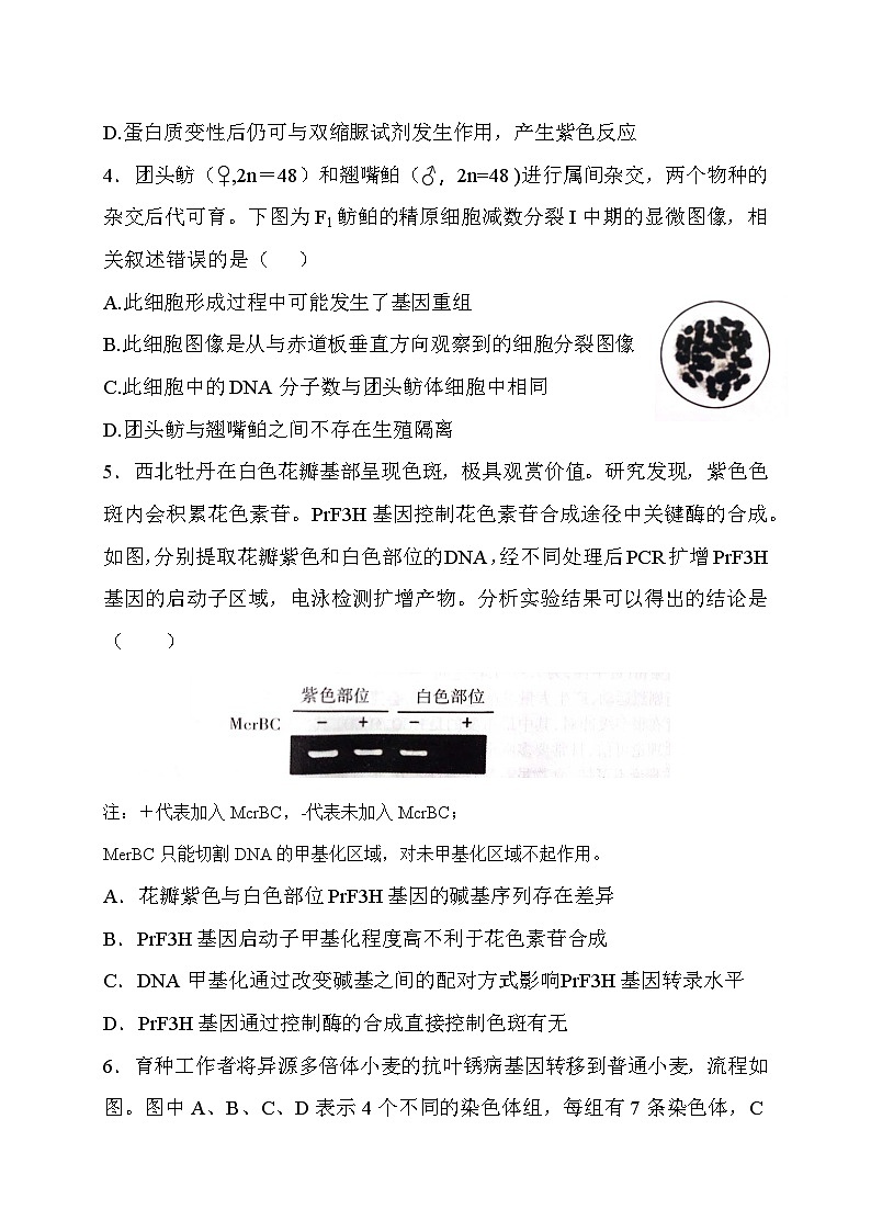 长治市2024-2025学年度高三年级九月份质量检测生物试题第2页