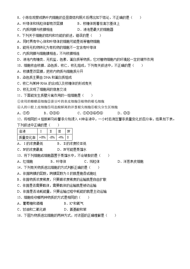河北省邯郸市峰峰第一中学2022-2023学年高一上学期期末考试生物试题(无答案)02