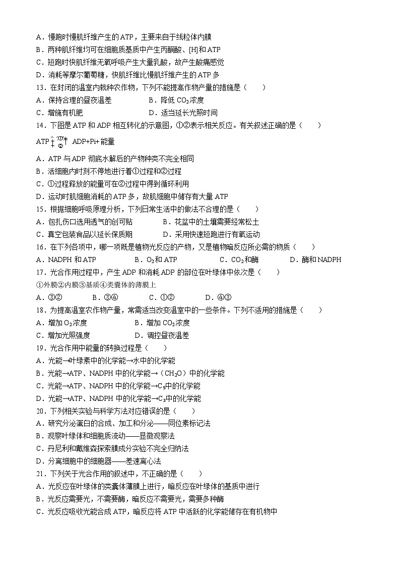甘肃省天水市麦积区2022-2023学年高一上学期期末生物试题(无答案)第2页