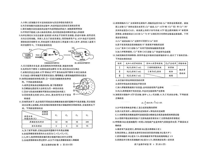 生物-2025届湖北省黄冈市高三9月调研考试第2页
