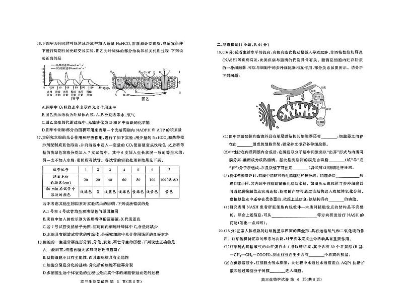 生物-2025届湖北省黄冈市高三9月调研考试第3页