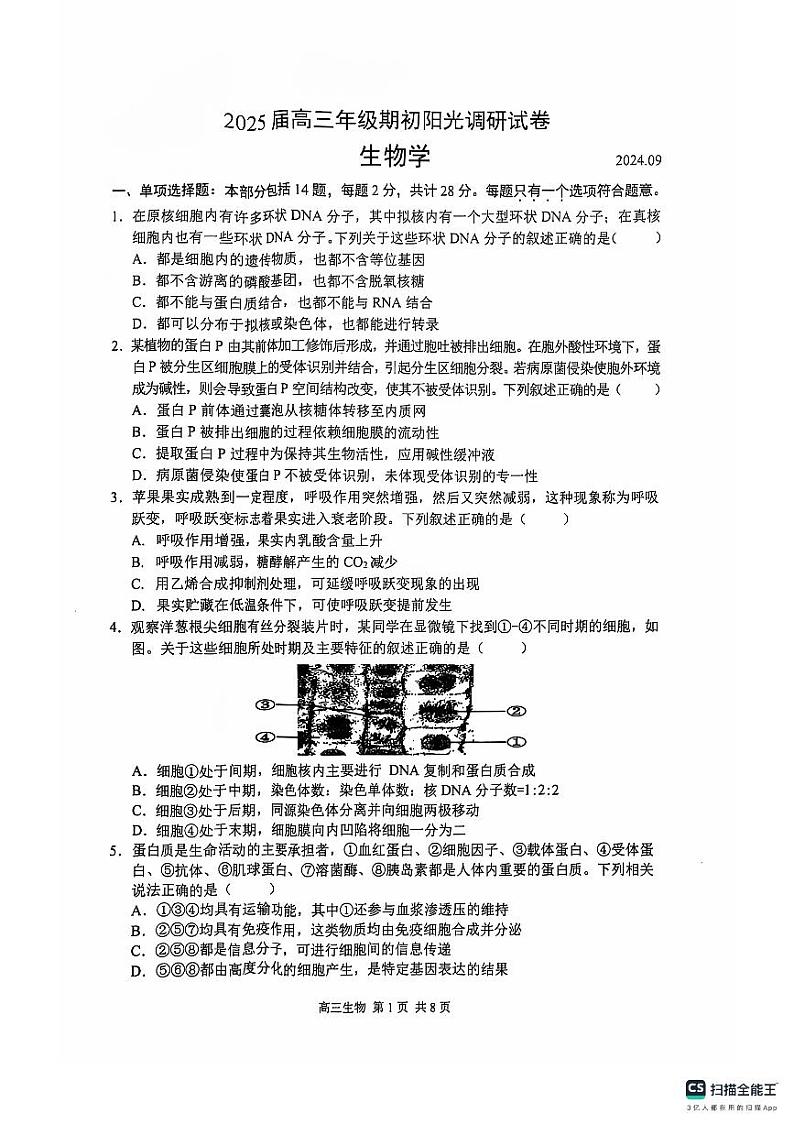 江苏省苏州市2024-2025学年高三上学期9月期初阳光调研生物试题01