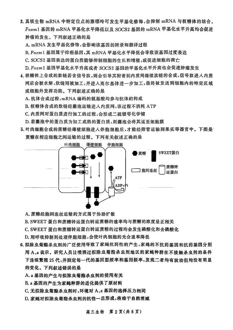 生物-河北省2025届高三大数据9月应用调研联合测评（Ⅰ）试卷【含答案解析】第2页