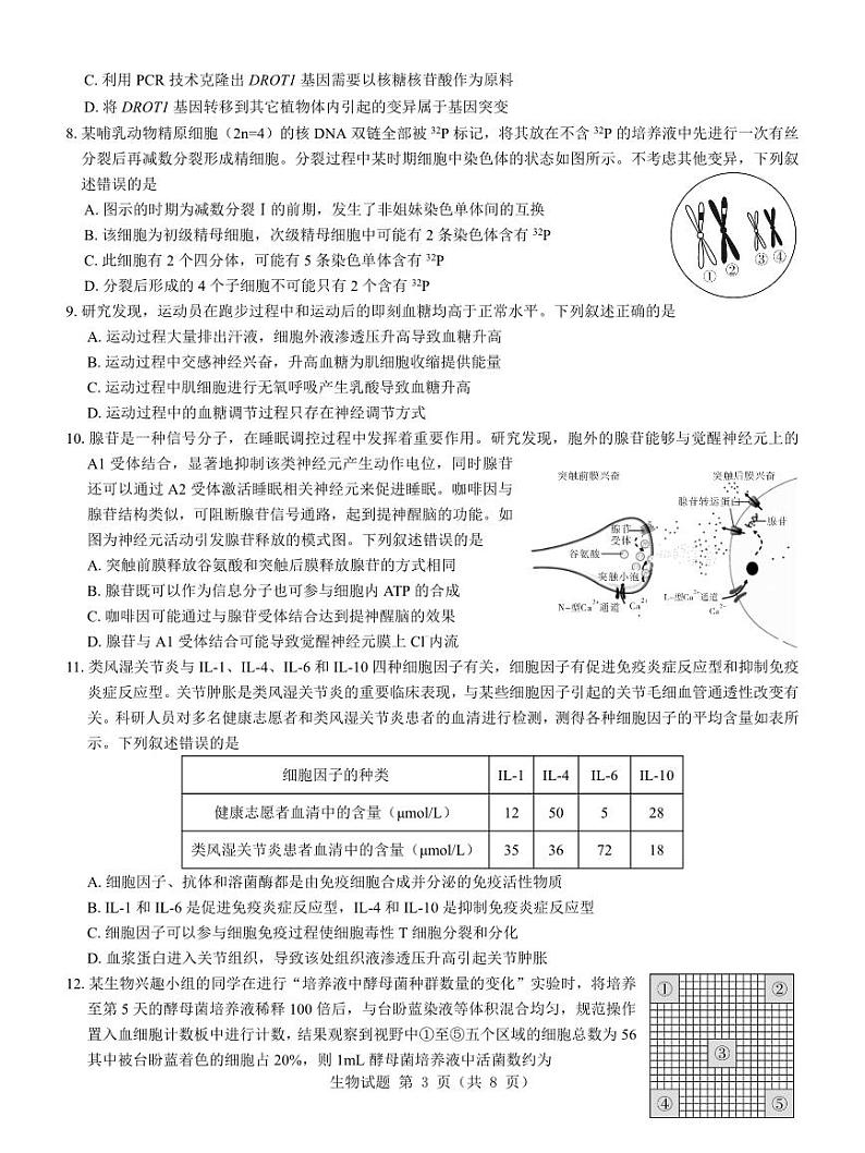 生物-名校教研联盟2025届高考模拟试题训练卷第3页