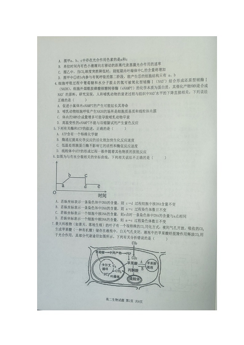 重庆市西北狼联盟2024-2025学年高二上学期开学调研生物试题02