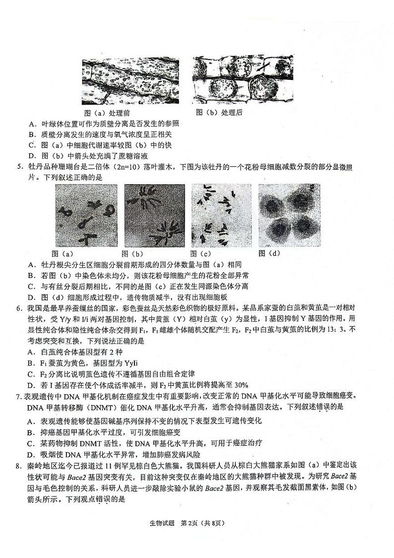 2025届陕西省普通高中学业水平选择性考试(模拟) 生物试题第2页