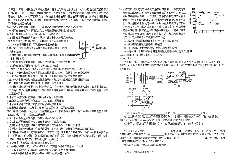 云南省玉溪市2024-2025学年高二上学期第一次月考生物试题第3页