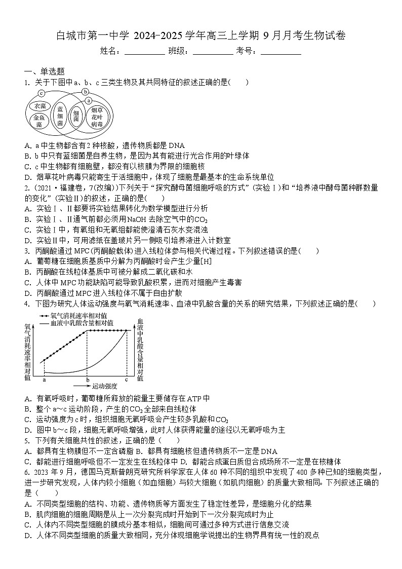 吉林省白城市洮北区白城市第一中学2024-2025学年高三上学期9月月考生物试题01