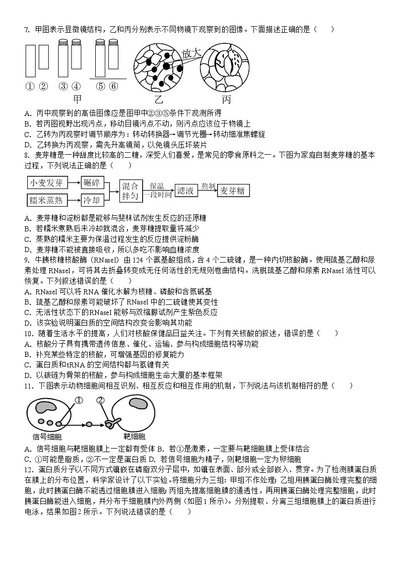 吉林省白城市洮北区白城市第一中学2024-2025学年高三上学期9月月考生物试题02
