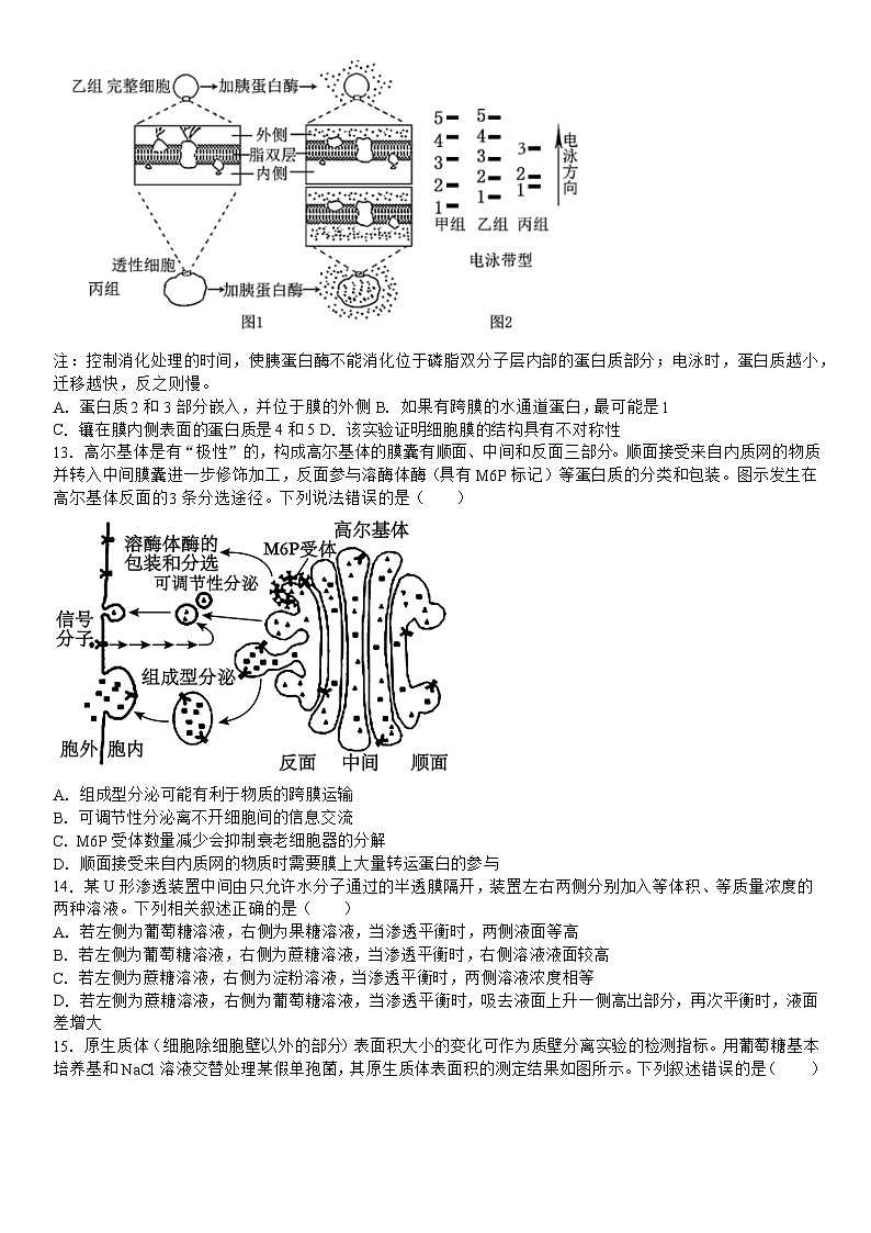 吉林省白城市洮北区白城市第一中学2024-2025学年高三上学期9月月考生物试题03