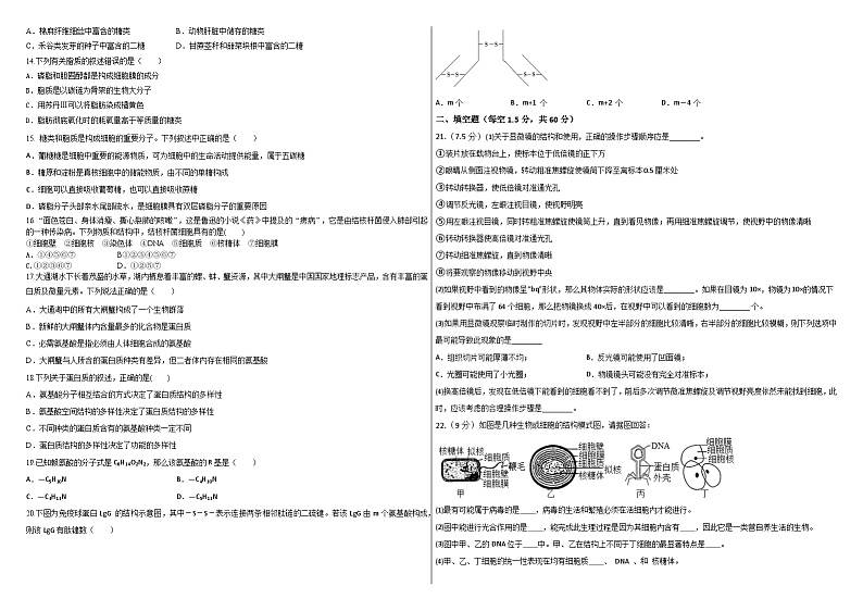 新疆石河子第一中学2024-2025学年高一上学期9月月考生物试题+02