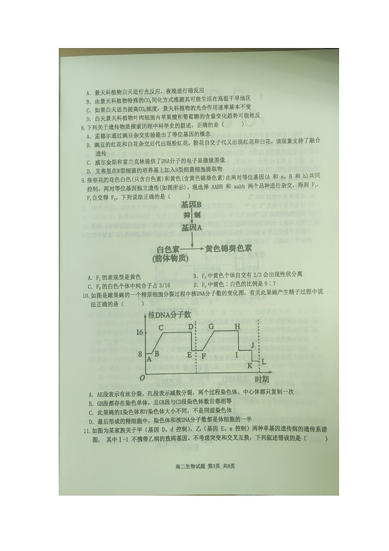 重庆市西北狼联盟2024-2025学年高二上学期开学学业调研生物试题+03