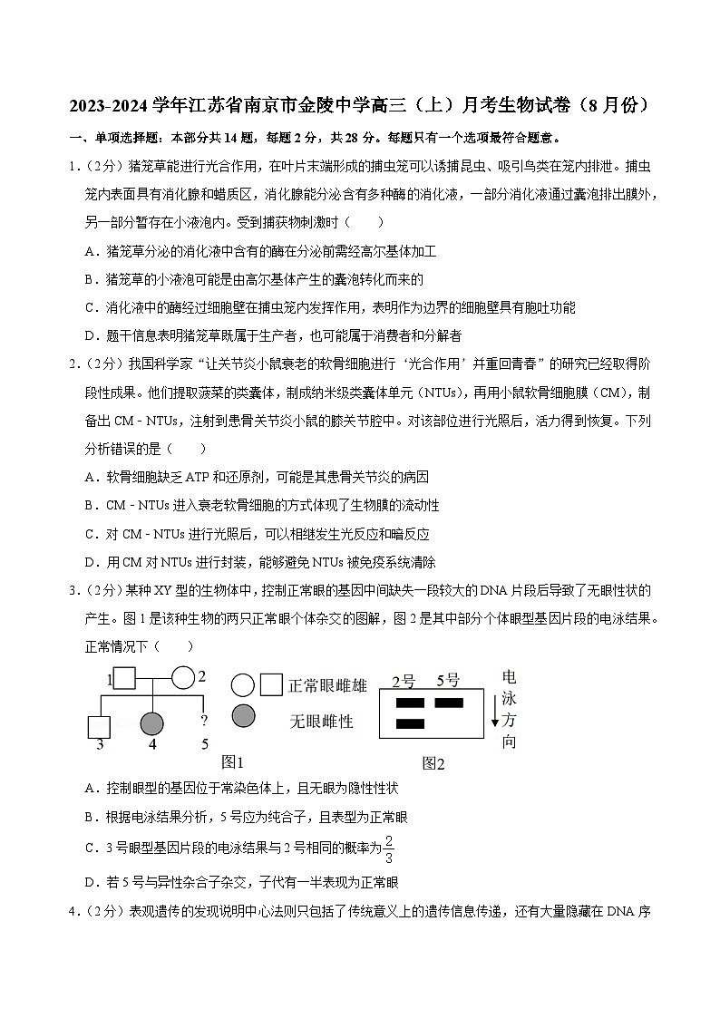 江苏省南京市金陵中学2023-2024学年高三上学期8月月考生物试卷01