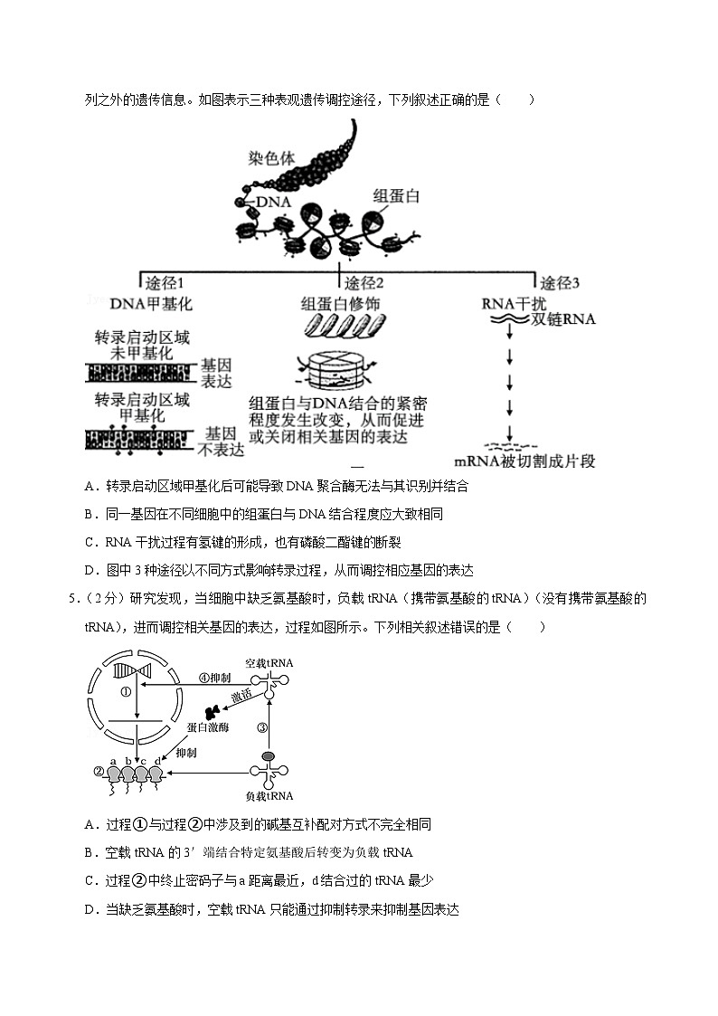 江苏省南京市金陵中学2023-2024学年高三上学期8月月考生物试卷02