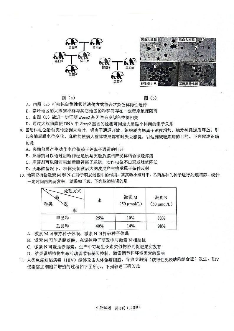 +2025届陕西省普通高中学业水平选择性考试(模拟)+生物试题第3页