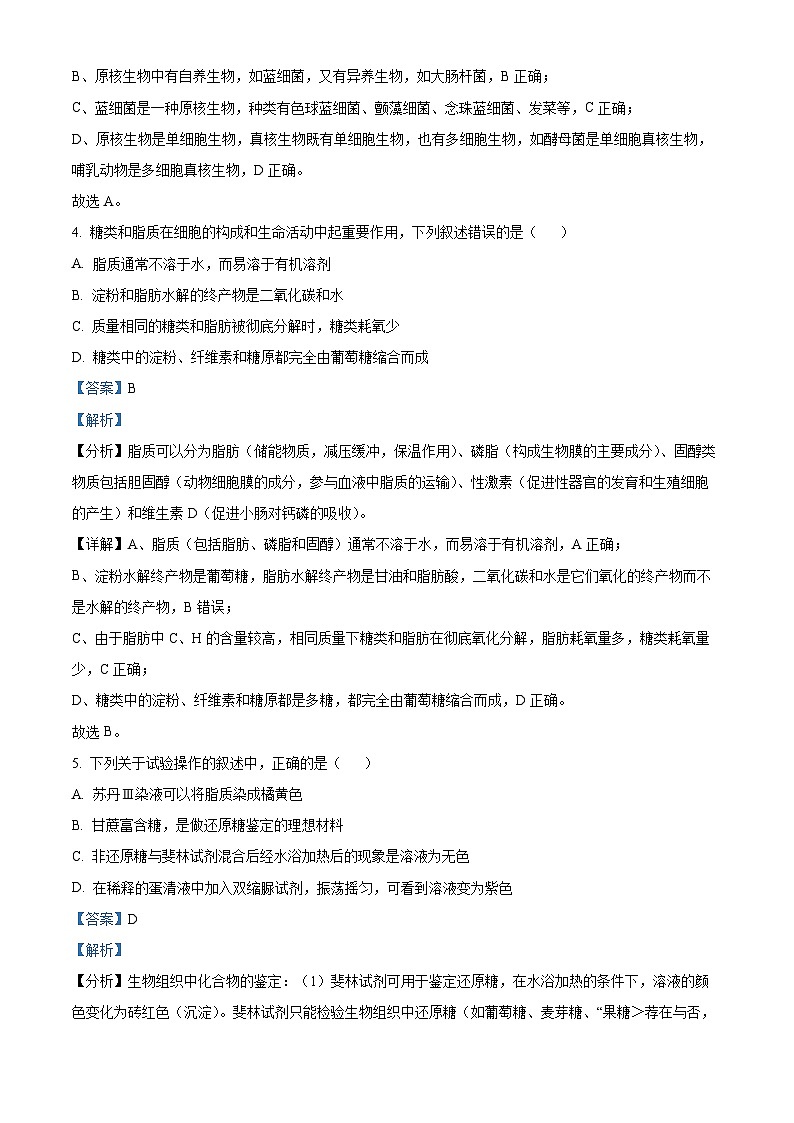湖北省武汉市洪山高级中学2024-2025学年高一上学期9月考试生物试题（原卷版+解析版）03