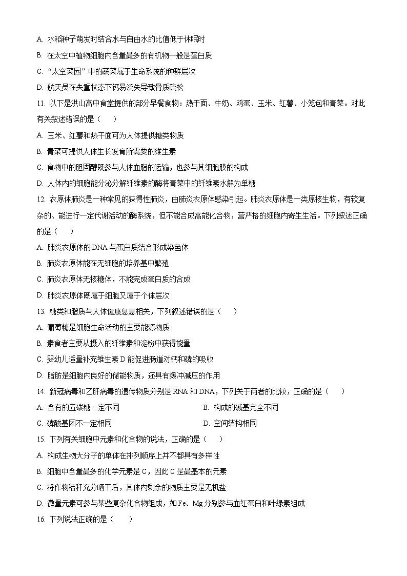 湖北省武汉市洪山高级中学2024-2025学年高一上学期9月考试生物试题（原卷版+解析版）03