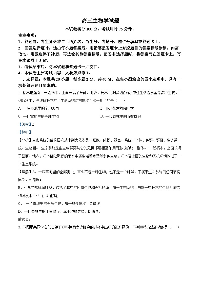 山西省晋城市2024-2025学年高三上学期9月月考生物试题（解析版）01