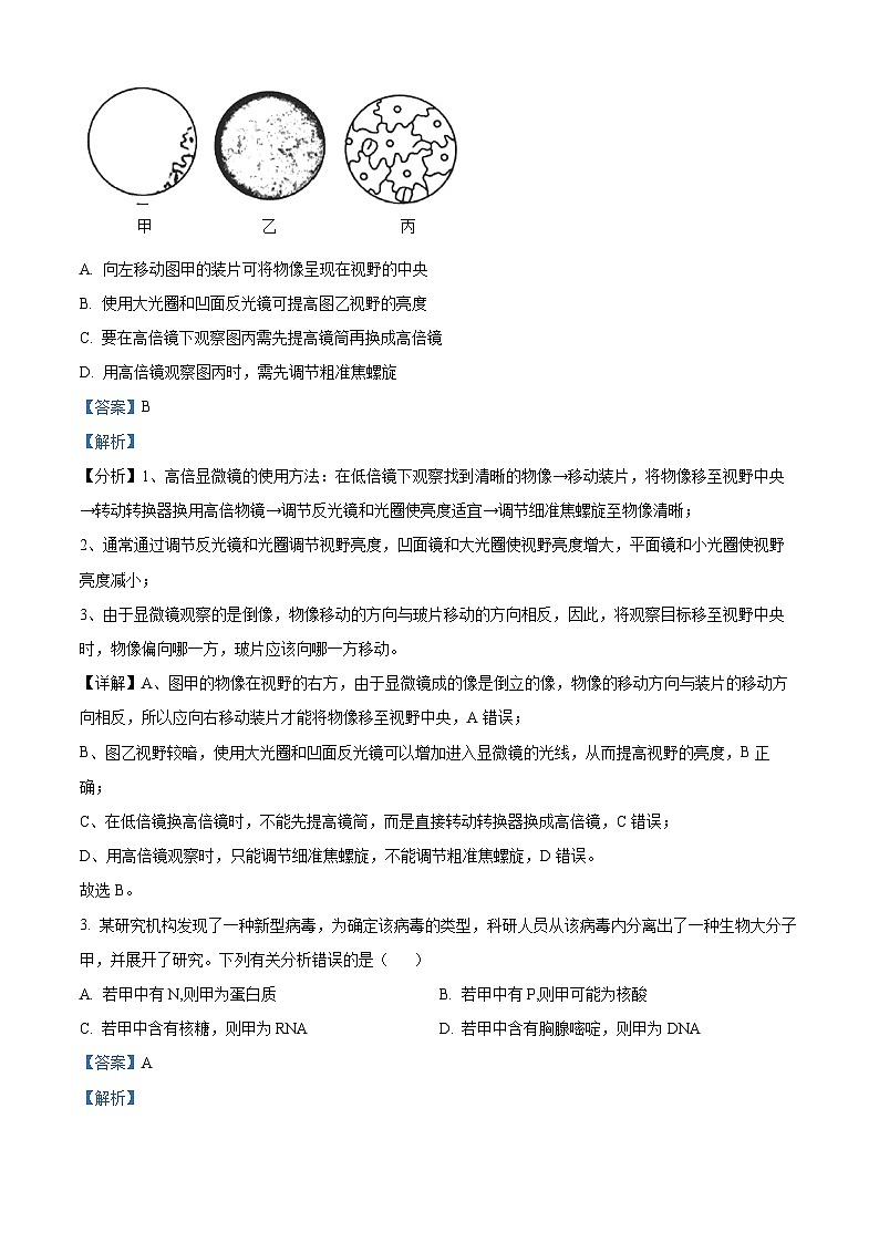 山西省晋城市2024-2025学年高三上学期9月月考生物试题（解析版）02