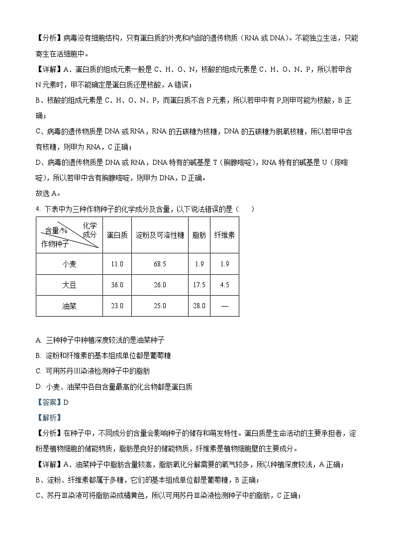 山西省晋城市2024-2025学年高三上学期9月月考生物试题（解析版）03