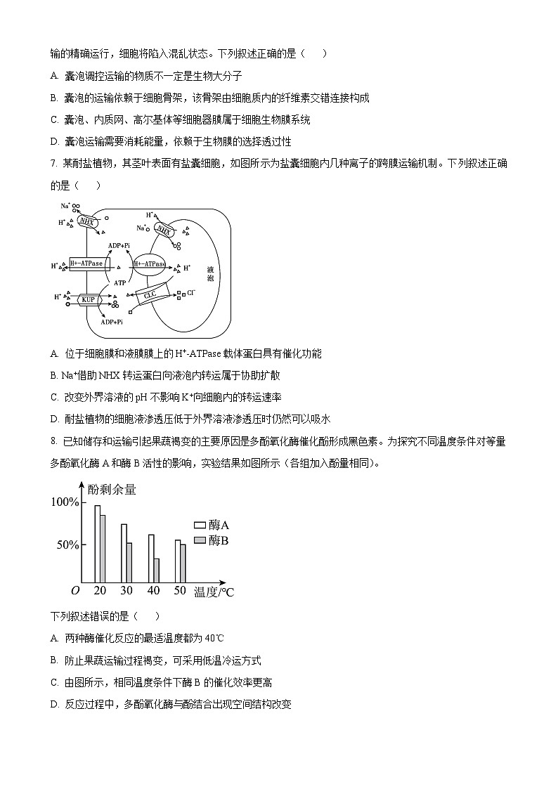 黑龙江省哈尔滨九中2024-2025学年高三上学期开学考试生物试卷（原卷版）第2页